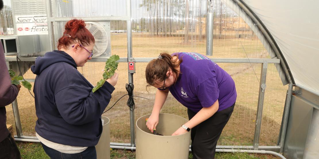Two female students practice gardening techniques in a greenhouse
