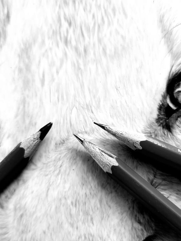 Detailed grayscale pencil sketch of dog face and eyes with three pencils